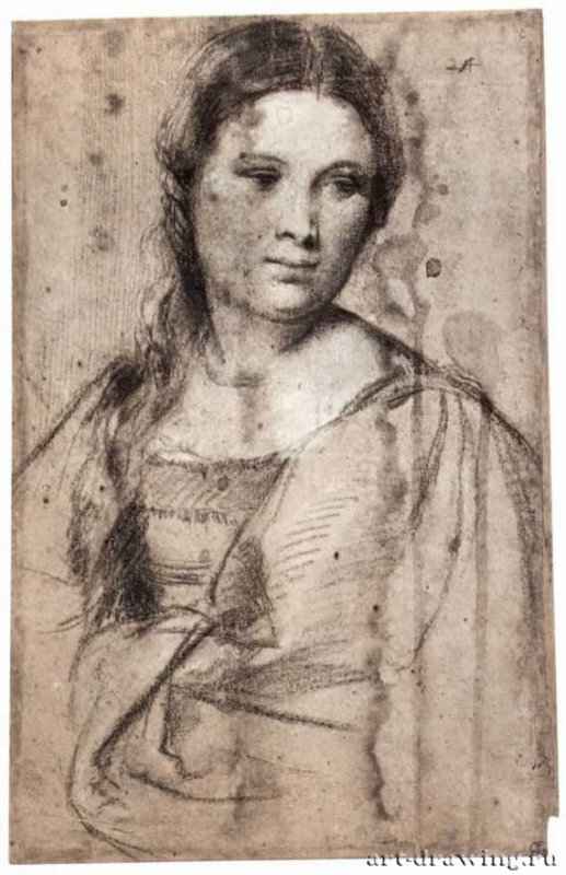 Портрет молодой женщины. 1520 - Тициан Вечелио: 419 х 265 мм. Черный и белый мел на коричневой бумаге. Флоренция. Галерея Уффици, Кабинет рисунков и гравюр.
