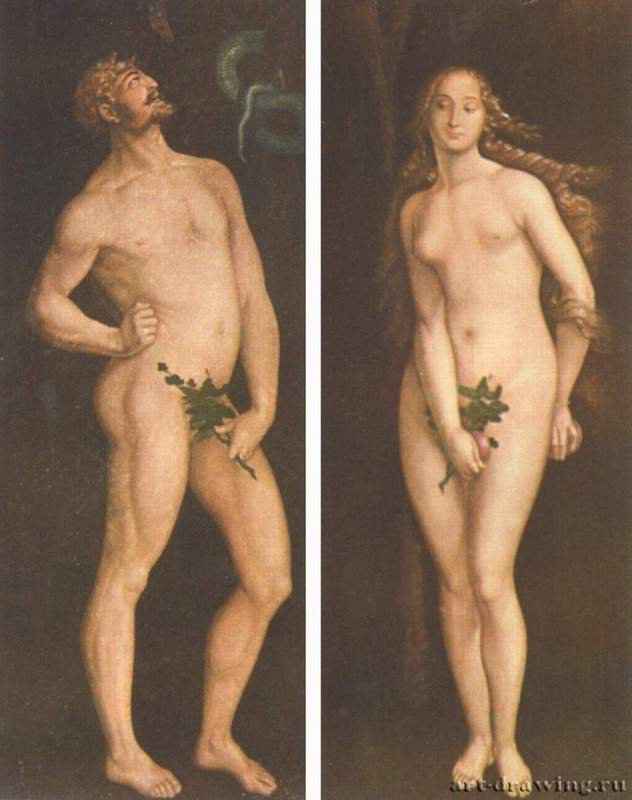 Адам и Ева. 1525 - Каждая 208 x 83,5 см. Дерево. Возрождение. Германия. Будапешт. Венгерский музей изобразительных искусств. Парные картины.