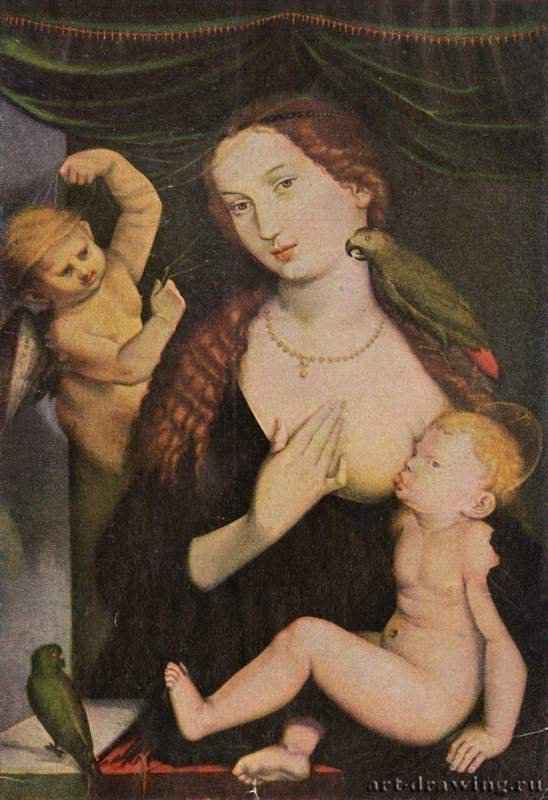Мадонна с попугаем. 1527-1528 - 91,5 x 63,4 см. Дерево. Возрождение. Германия. Нюрнберг. Национальный музей Германии.