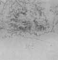 Роща. 1514-1515 - 143 х 90 мм. Серебряный штифт на бумаге. Копенгаген. Государственный художественный музей, Королевское собрание графики. Германия.