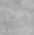 Василек, стебель с цветком. 1517-1545 - 205 х 151 мм. Серебряный штифт на бумаге. Карлсруэ. Кунстхалле, Гравюрный кабинет. Германия.