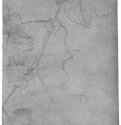 Виноградный усик. 1517-1545 - 205 х 151 мм. Серебряный штифт на бумаге. Карлсруэ. Кунстхалле, Гравюрный кабинет. Германия.