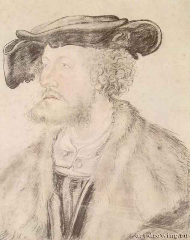 Портрет бородатого мужчины в плоской шляпе. 1520 - 352 х 281 мм. Черный и красный мел, цветная отмывка, на бумаге. Берлин. Гравюрный кабинет. Германия.