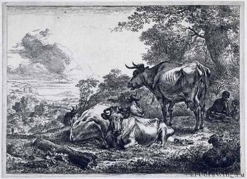 Три коровы. 1657 - Тушь, бумага, гравюра 17,7 x 24,2 Риксмузеум Амстердам