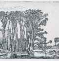 Деревья у воды. 1616 - Гравюра 8,8 x 12,4 Риксмузеум Амстердам