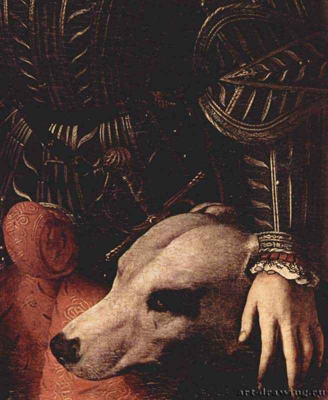 Портрет Гвидобальдо II делла Ровере, герцога Урбинского. Деталь: собака - 1532Дерево, маслоМаньеризмИталияФлоренция. Палаццо ПиттиЗаказчик: герцог Джуибальдо Урбинский