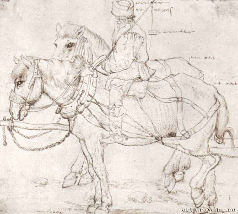 Брейгель Старший, Питер: Всадник и две лошади, 1559-1563.