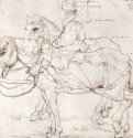 Всадник и две лошади. 1559-1563 - 164 х 184 мм. Перо бистром и итальянский карандаш, на бумаге. Вена. Собрание графики Альбертина. Нидерланды.