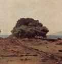 Деревья у моря. 1867-1872 - 16 x 22 смДеревоРеализм, маккьяйолиИталияМилан. Собрание Юккера