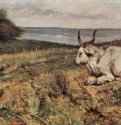 Лежащая корова. 1904 - 60,5 x 137 смХолст, маслоРеализм, маккьяйолиИталияЛиворно. Частное собрание