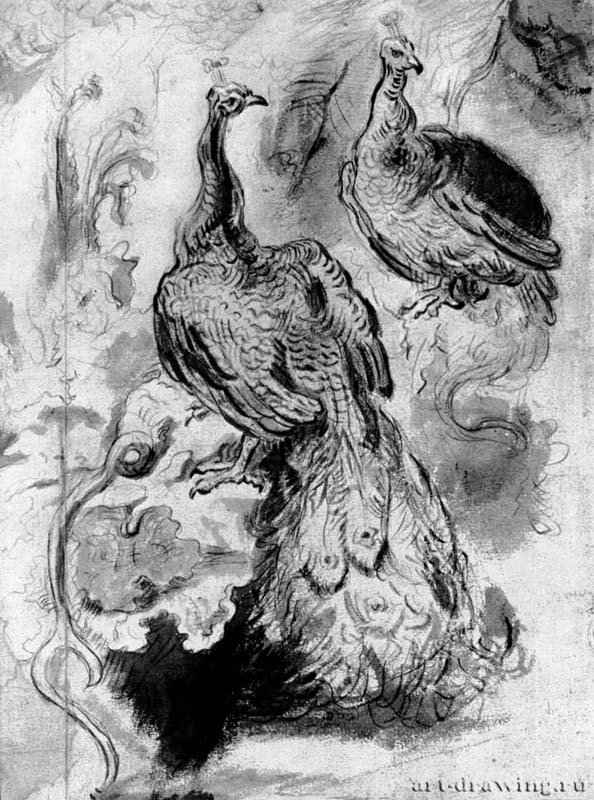 Лист с этюдами. 1645-1650 - Черный мел, сангина и кисть коричневым тоном, на бумаге 326 x 219 мм Частное собрание Берлин