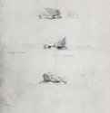 Этюды могилы гуннов под Гюцковым, 1809 - 361 x 261 мм. Карандаш на белой бумаге. Осло. Национальная галерея.