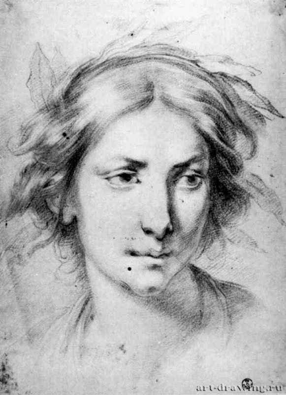 Голова девушки в лавровом венке. 1630-1636 - 253 х 179 мм. Сангина на белой бумаге. Флоренция. Уффици, Кабинет рисунков и гравюр. Италия.