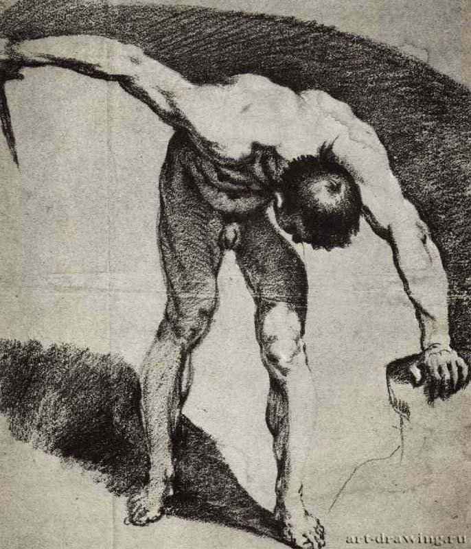 Обнаженный. Вторая половина 16 века - 459 х 391 мм. Черный мел на серой бумаге. Харлем. Музей Тейлера. Италия. 