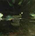 Тёмно-коричневый пруд, 1891 г. - Акварель, карандаш; 35,2 x 50,8 см. Кембридж (Массачусеттс). Музей Фогга. США.