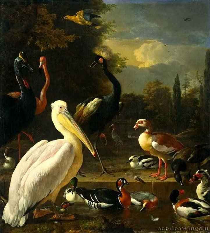 Пеликан и другие птицы у пруда. 1680 - Холст, масло 159 x 144 Риксмузеум Амстердам