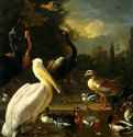 Пеликан и другие птицы у пруда. 1680 - Холст, масло 159 x 144 Риксмузеум Амстердам