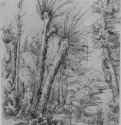 Пейзаж с ивами, 1515 г. - Перо светло-и темно-коричневым тоном, на бумаге; 206 x 156 мм. Берлин. Гравюрный кабинет. Германия.