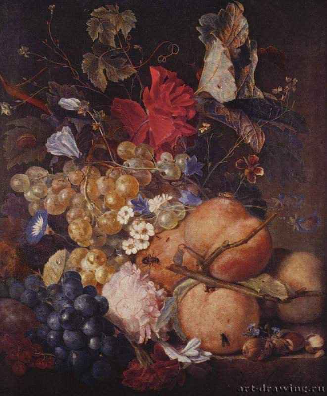 Плоды, цветы и насекомые. 1735 - 81 x 61 смДеревоБароккоНидерланды (Голландия)Мюнхен. Старая пинакотека