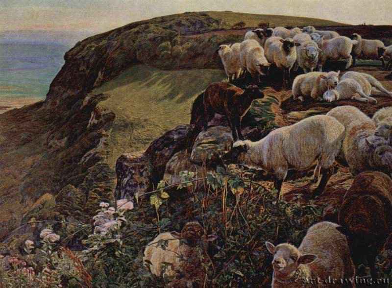 Наше английское побережье (Заблудившиеся овцы). 1852 - 43 x 58,5 смХолст, маслоПрерафаэлитыВеликобританияЛондон. Галерея Тейт