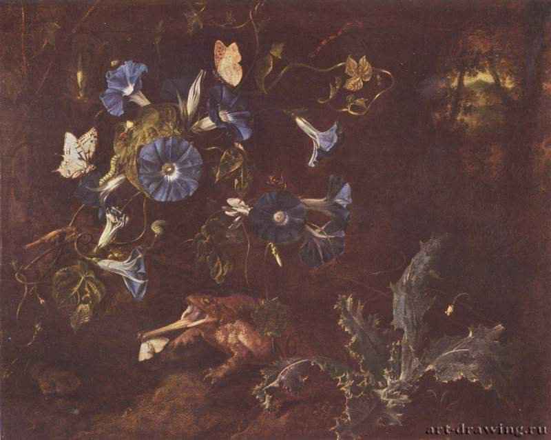 Голубые вьюнки, жаба и насекомые. 1660 - 53,7 x 68 смХолст, маслоБароккоГерманияШверин. Художественный музей
