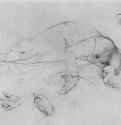 Этюд к картине "Святая Цецилия". 1820 - 1821 - Карандаш на бумаге. Вена. Академия художеств, Собрание графики.