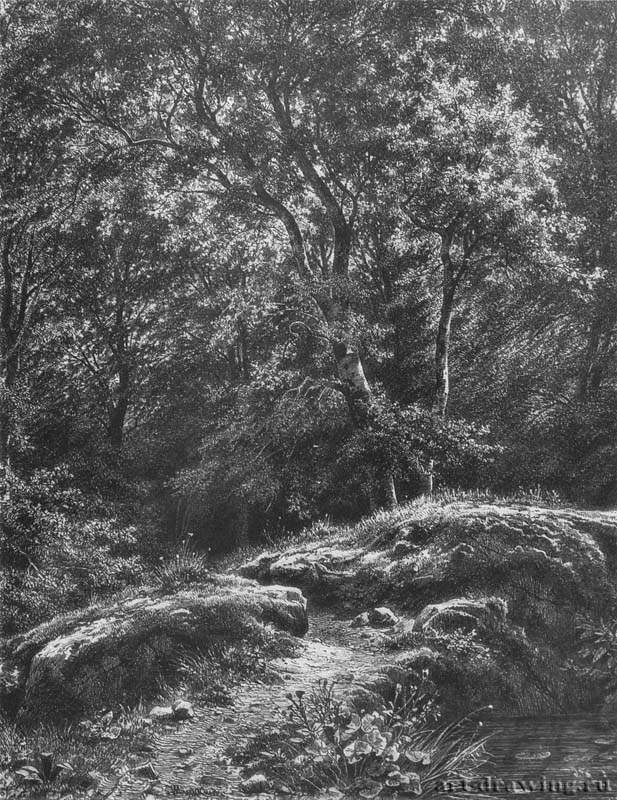 Дорожка в лесу. 1871 - 46,2 х 34,9