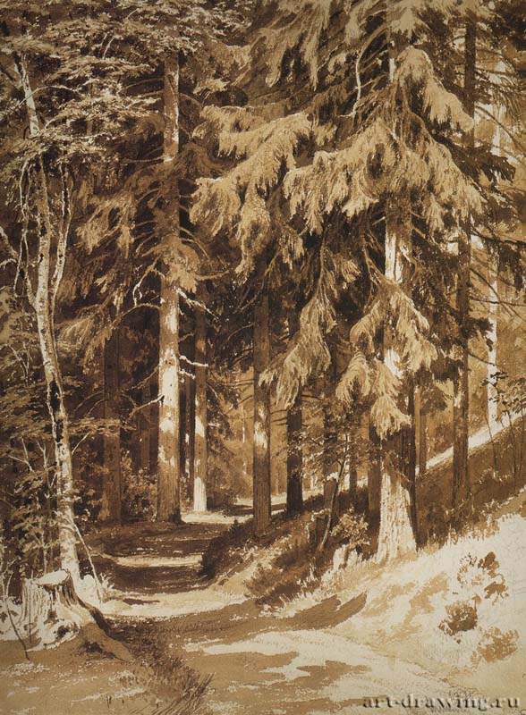 Дорожка в лесу. 1891 - 61.4 х 44.5 Бумага, сепия, граф. карандаш