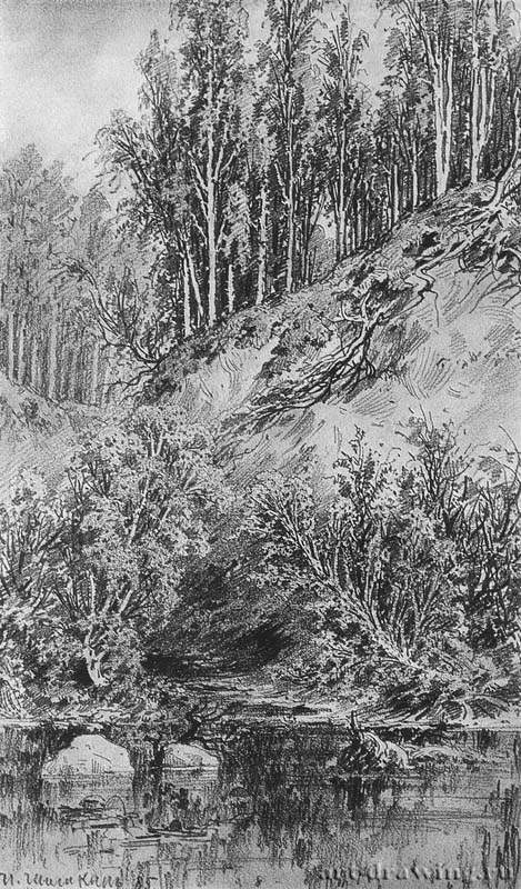 Берег ручья. 1885 - 48 х 31.5 Бумага, графит. карандаш
