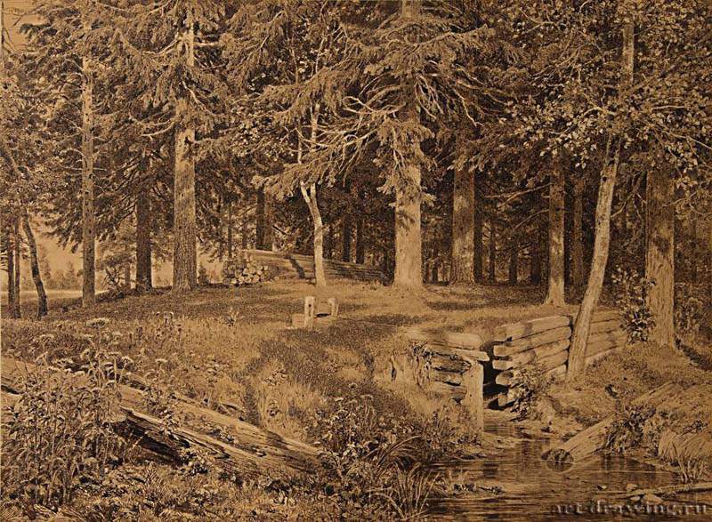 Еловый лес (У ручья). 1890 - 50,3 х 67,8
