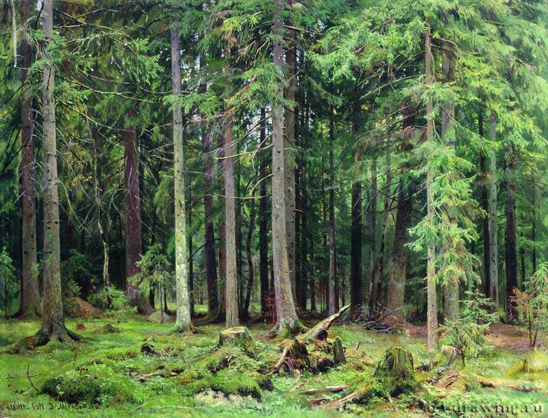 Лес в Мордвинове. 1891 - 83 х 110