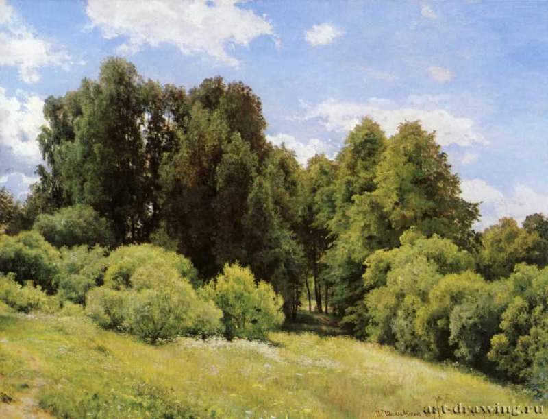 Лесная поляна. 1897 - 81,5 х 109