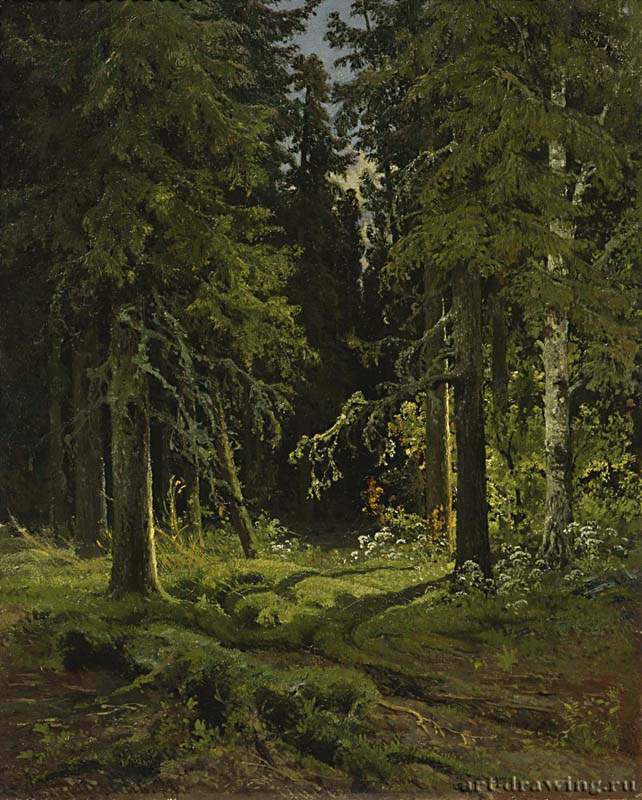 Лесной пейзаж. 1878 - 45 х 35,5