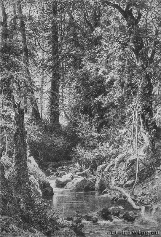 Лесной ручей. 1880 - 77,4 х 61,4