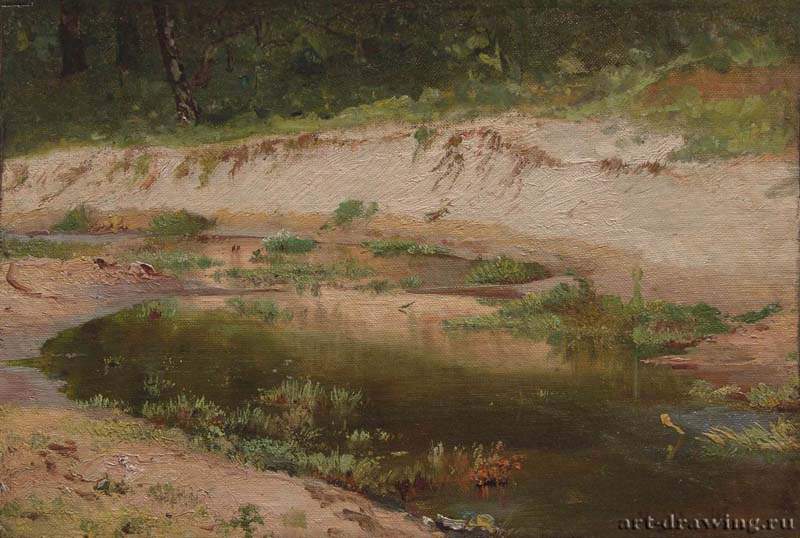 Лесной ручей. Этюд. 1895