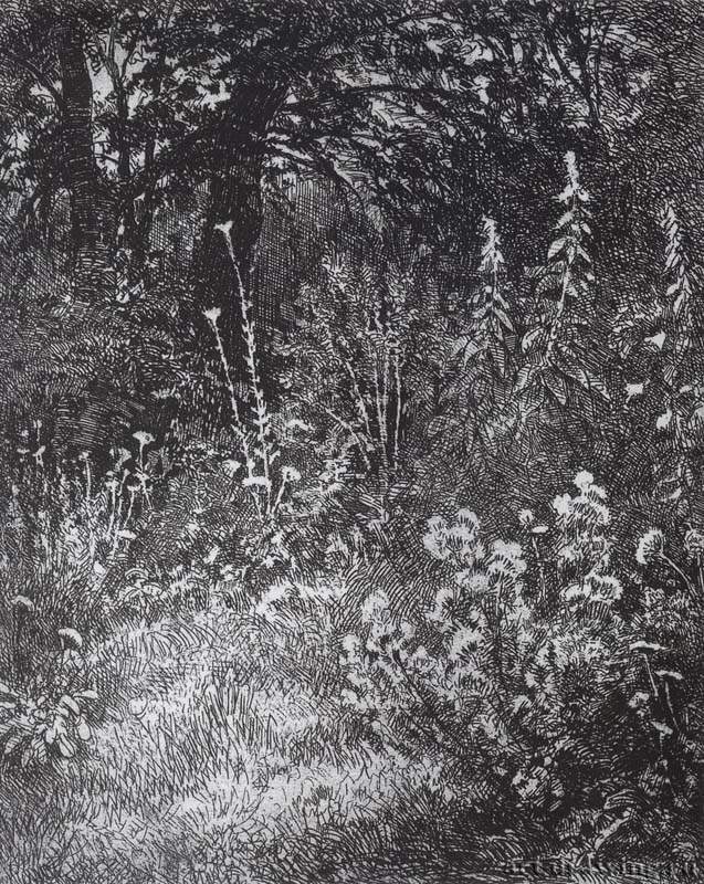 Лесные цветы. 1873 - 10,7 х 9