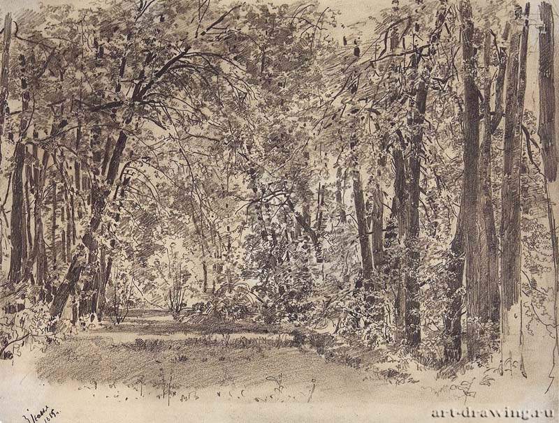 Аллея в старом парке. 1885 -  23,5 х 31
