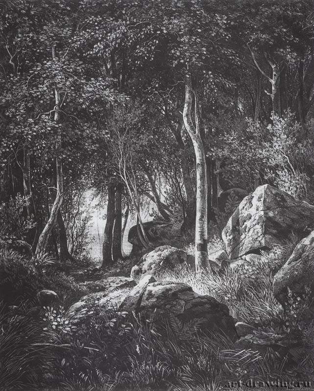 На краю березовой рощи. Остров Валаам. 1859-1860 - 44,4 х 37,5