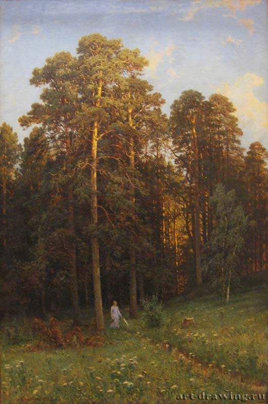 На опушке соснового леса. 1882