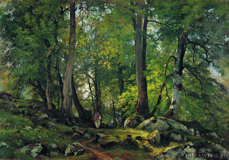 Буковый лес в Швейцарии. 1863-1864 - 85.5 х 124