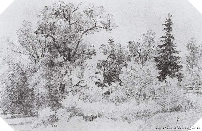 Опушка леса. 1850-е - 12,7 х 19,4