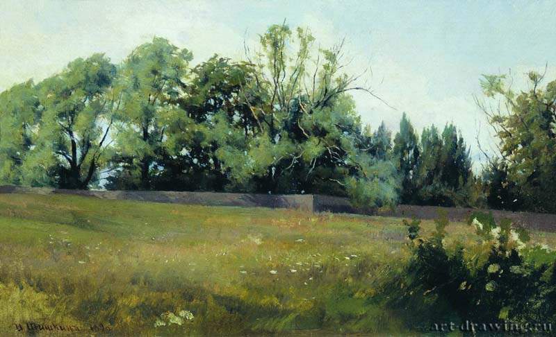 Пейзаж. 1898 - 25,5 х 34,5