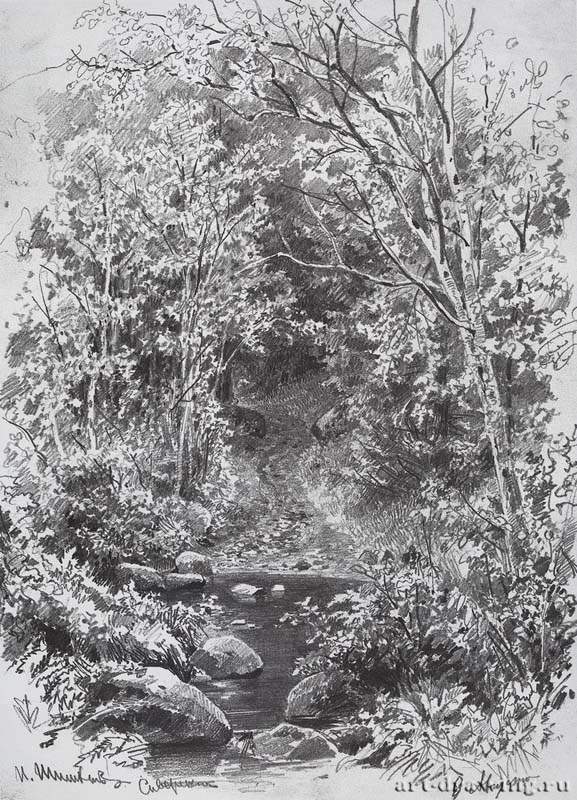 Ручей в лесу. 1880-е - 66 х 41,5