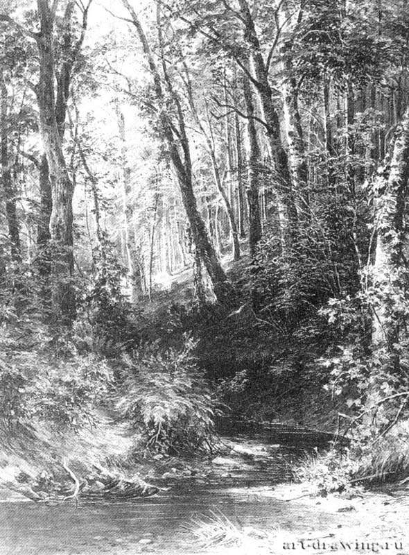 Ручей в лесу. 1880-е - 67 х 52,2