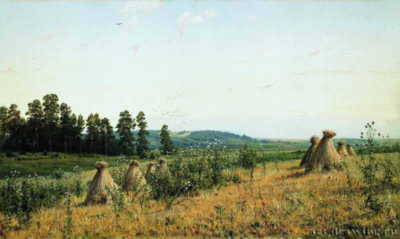Сжатое поле. Полесский пейзаж. 1884 - 71.5 х 117.5