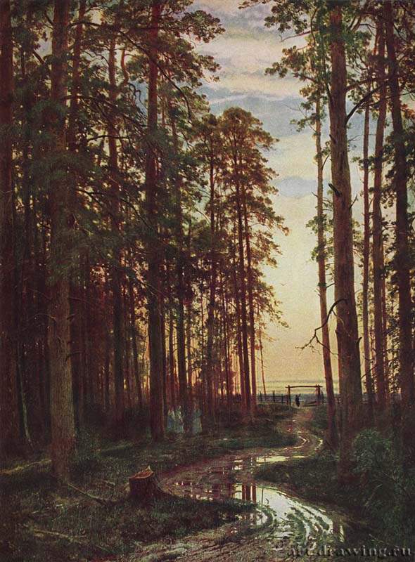 Вечер в сосновом лесу. 1875 - 116 х 87.7