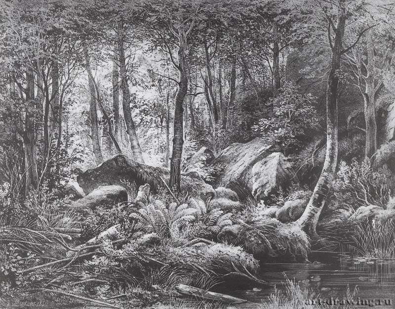 Трущоба. Вид на острове Валааме. 1860 - 20,9 х 26,3