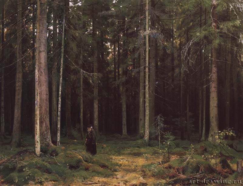 В лесу графини Мордвиновой. Петергоф. 1891 - 81 х 108