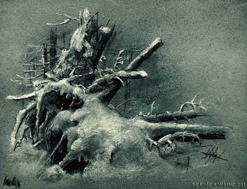Выкорчеванные пни под снегом. 1890-е - 23,8 х 31.1 Бумага, уголь, мел