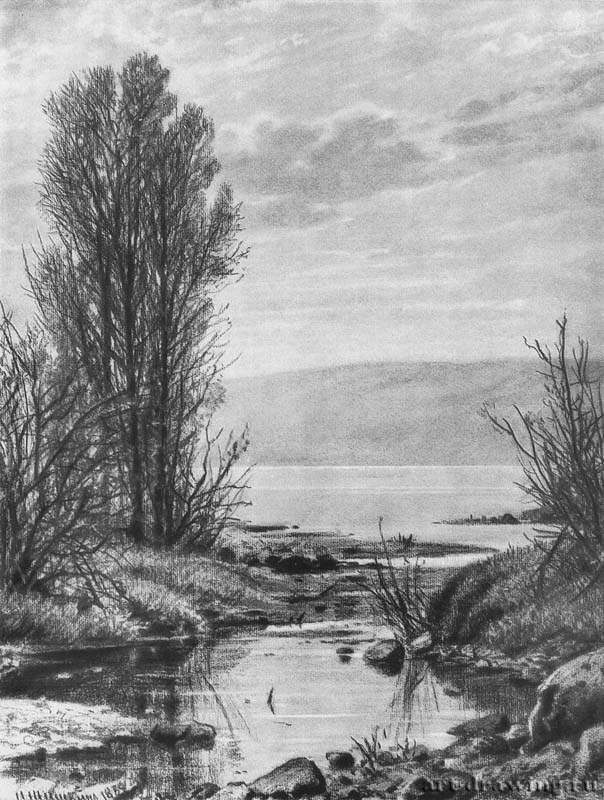 Берег озера. 1884 - 60 х 44 Бумага, уголь, мел